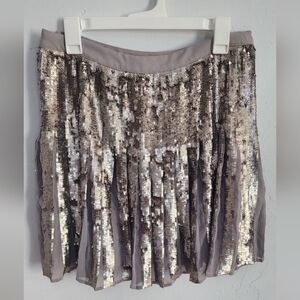 Banana Republic Silver Sequin Pleated A-Line Skirt
